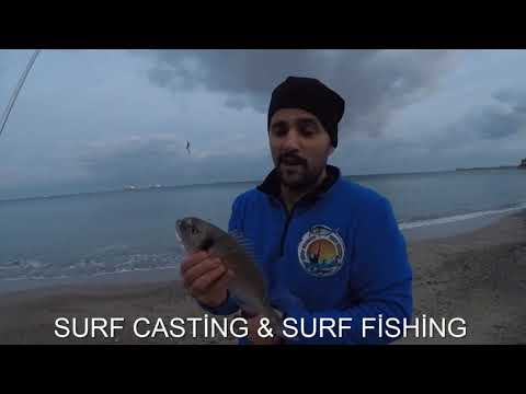 surf casting SABAH SUYU CUPRA AVI YEM BİBİ (CUCUN)  SURF CASTİNG & SURF FİSHİNG