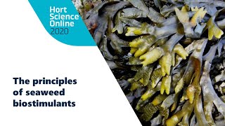 Hort Science Online 2020 | Principles of Seaweed Biostimulants