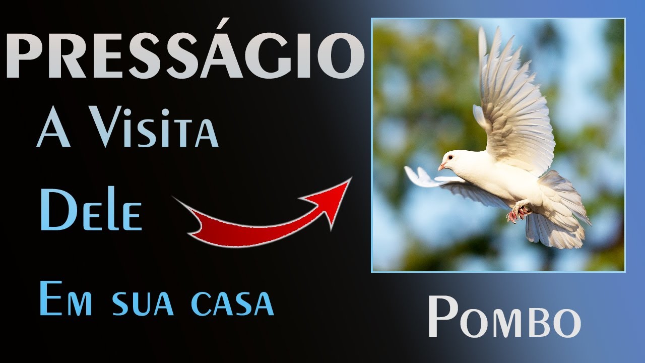 🏡 O Presságio do Pombo - O Recado do Universo para você!