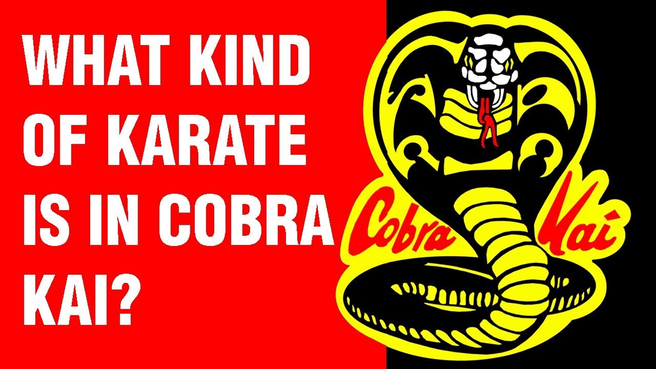 What Kind Of Karate Is In Cobra Kai? | Art Of One Dojo