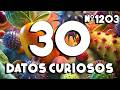 30 DATOS CURIOSOS y COSAS QUE NO SABÍAS ⏰😲 1203 #curiomaníatv