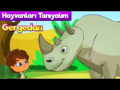 Hayvanları Öğreniyoruz 🦏 GERGEDAN Çizgi Film & Çocuk Şarkısı