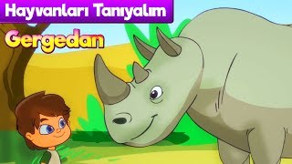 Hayvanları Öğreniyoruz 🦏 GERGEDAN Çizgi Film & Çocuk Şarkısı