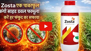 Zosta Fungicide Latest Fungicide Azoxystrobin4.8%Chlorothalonil40%Sc कर हर फफद क सफय