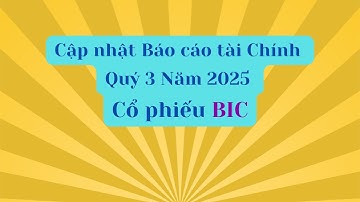 Cập nhật Báo cáo tài chính Quý 3 Năm 2025 của cổ phiếu BIC