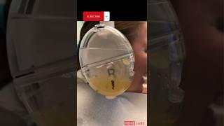 Revolutionary Ear Cleaner Headphones