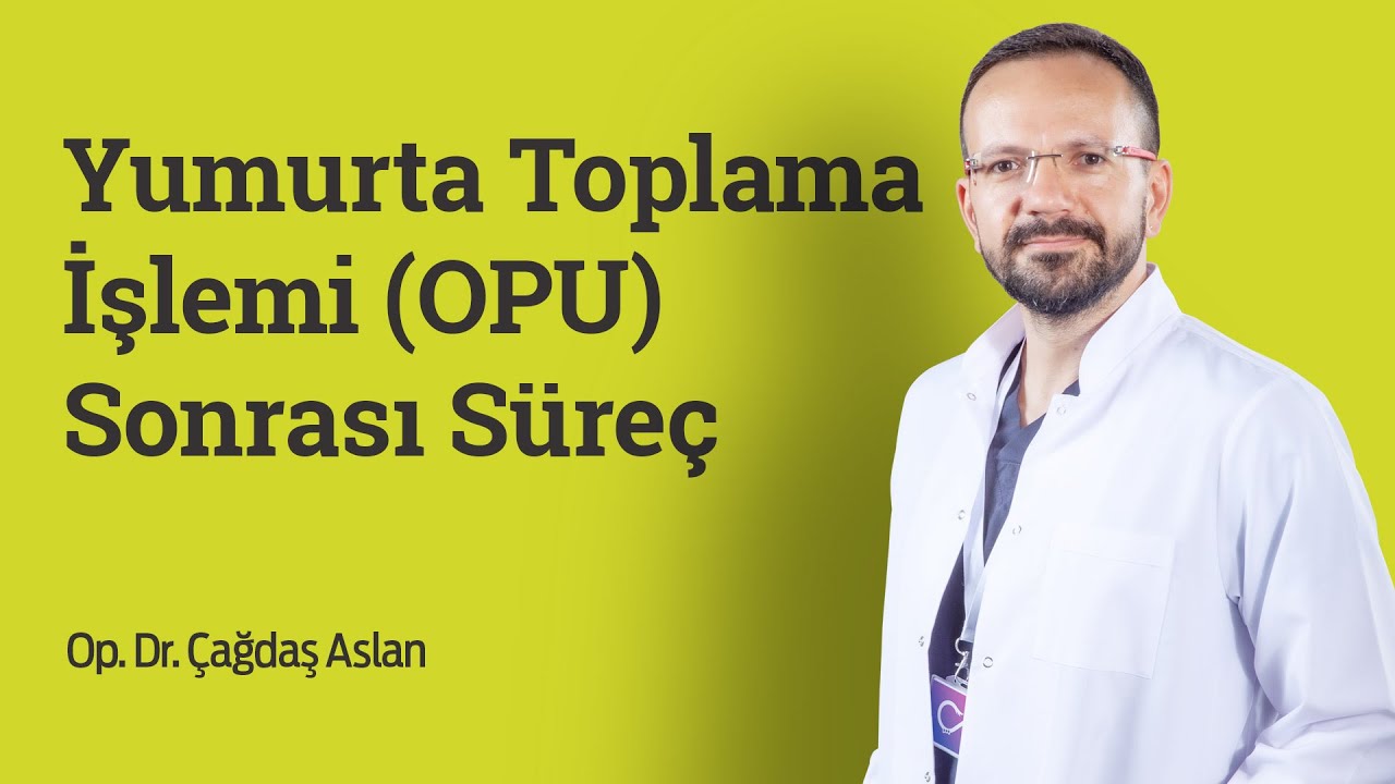 Yumurta Toplama İşlemi (OPU) Sonrası Süreç