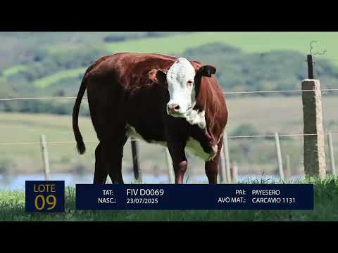Lote 09 D0069 mp4 1