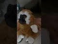 Good loop?