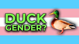 Anti-Trans Debate Bro Deliberately Misunderstands Sex & Gender for an Hour Straight