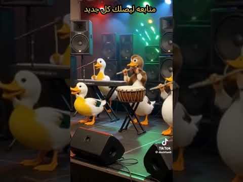 مزمار البط الاول