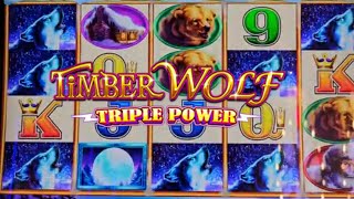 2 JACKPOTS ON TIMBERWOLF SLOT MACHINE!