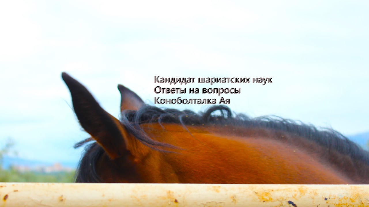 ответы женщины кандидата шариатских наук на женские вопросы #стримы_ая 05.03.26