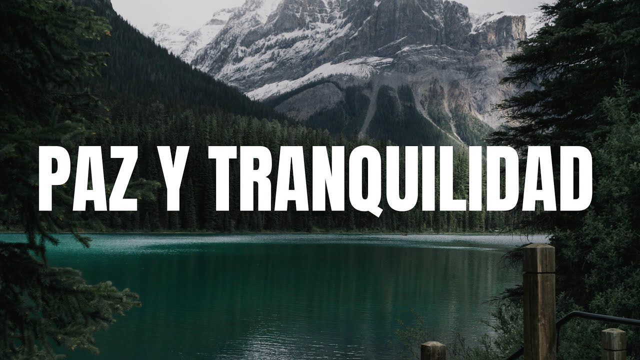 VIDEO DE AGUAS TRANQUILAS LLENAS DE NATURALEZA 🌿