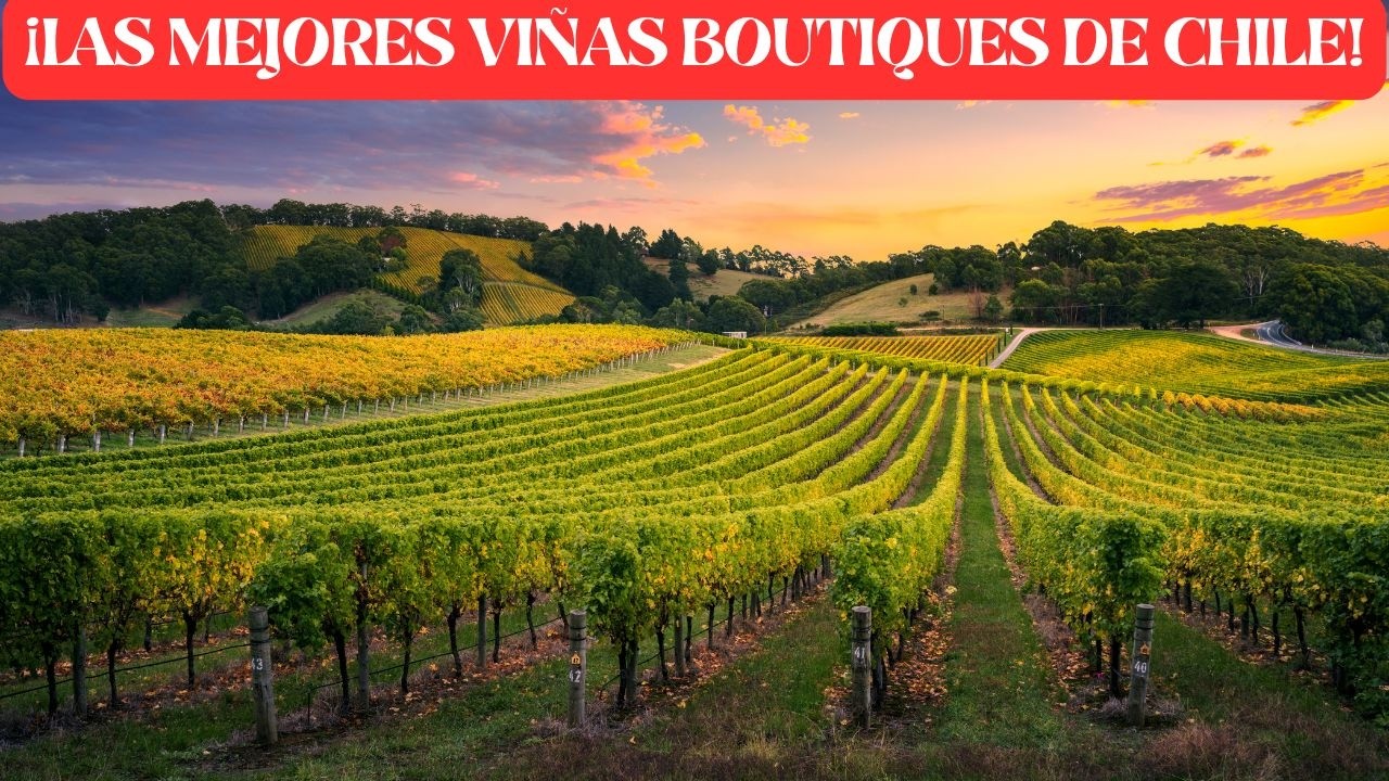 ¡CHILE ARRASA! LAS MEJORES VIÑAS BOUTIQUES!   @CyberTubeNews