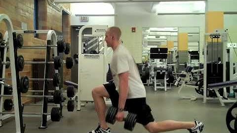 Self Made Exercise Index:  DB Split Squats