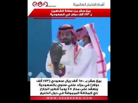 بيع صقر من سلالة الشاهين ب 173 ألف دولار في السعودية