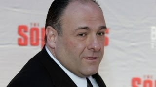Gandolfini Friends and Family Pay Tribute to Actor