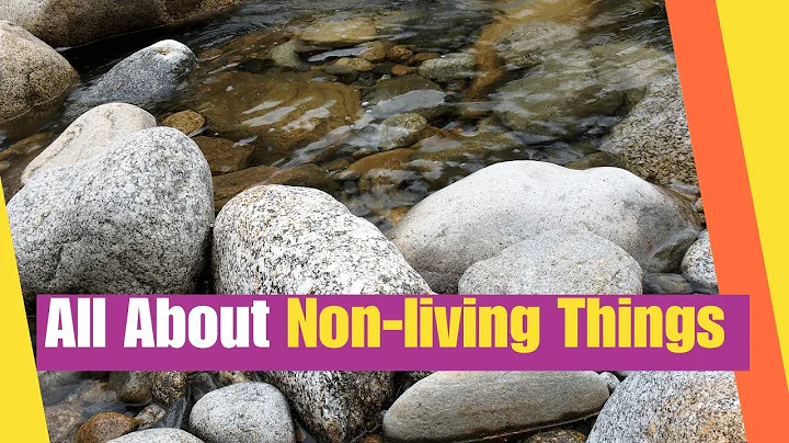 All About Non-Living Things | Learn the characteristics of non-living things | Science