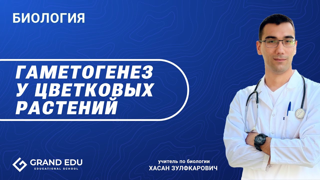 Гаметогенез у цветковых рaстений   #Биология