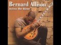 Bernard Allison - Change Your Way Of Living