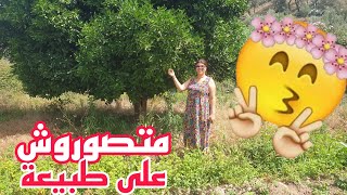 النهار 2 لي وصلنا فيه متصوروش على طبيعة الصراحة متصورتش نواحي تازة تكون بهاد الجمال مع أحسن ناس