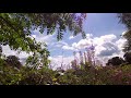 George Gershwin: Summertime (Academy of St. Martin in the Fields)