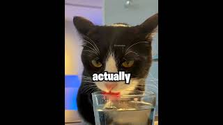#slowed