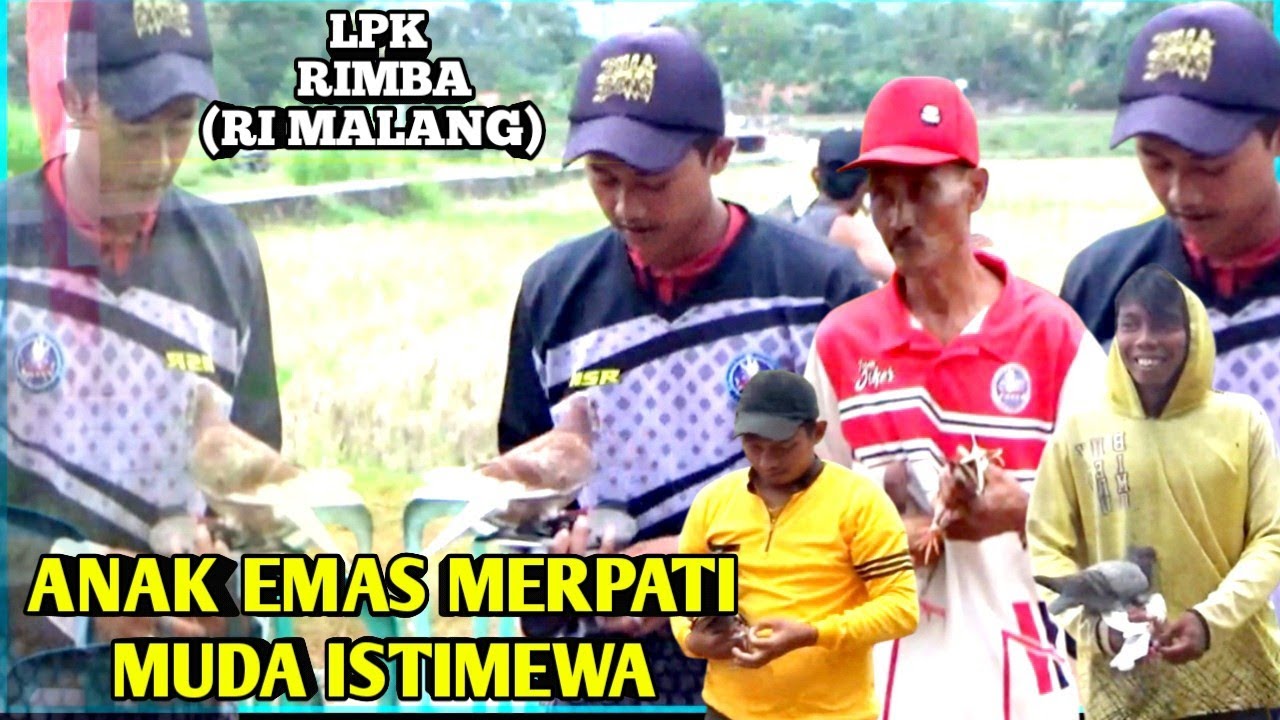 Lapak Rimba umbukan rasa totalan#peserta 400lebih