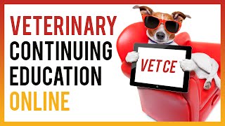Veterinary Continuing Education Online