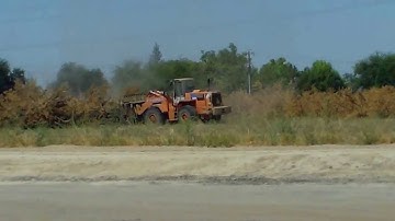 Tree Removal with Loader