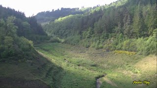 Balade printanière sur le site de l'ancien barrage de l'Echapre  le 20  mai 2024