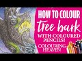 How To Colour Realistic Tree Bark Using Coloured Pencils!