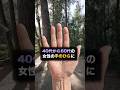 【40代-60代女性の別格の金運】神様が手のひらに置いた3つの神紋あなたの手のひらにも神紋がありましたか？#手相 #手相占い #金運 #神紋 #別格の金運 #覇王線 #千金紋 #太陽環