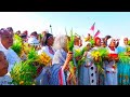 BAGA Booqaa Birraa Geessan Oromoo Koo 2023 Official Video