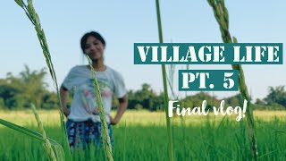 Village Life in Myanmar Pt. 5 | Goodbye Motherland, See you Again