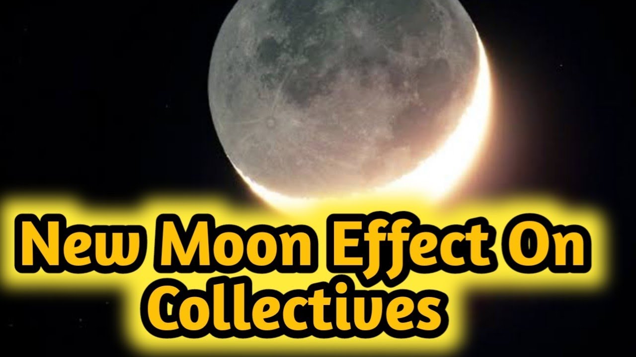 New Moon 🌙 Effect On Collectives 🌟 All Signs Collective Timeless Tarot🌈 ...