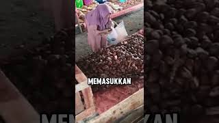 Download Lagu Ibu-ibu yang sedang viral  #shortvideo #shorts MP3