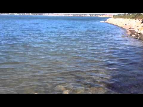 Reflection-Diffraction of Water Waves [with CC]