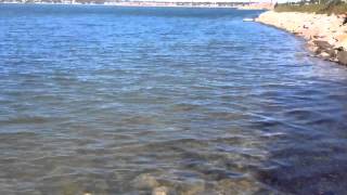 Reflection-Diffraction of Water Waves [with CC]