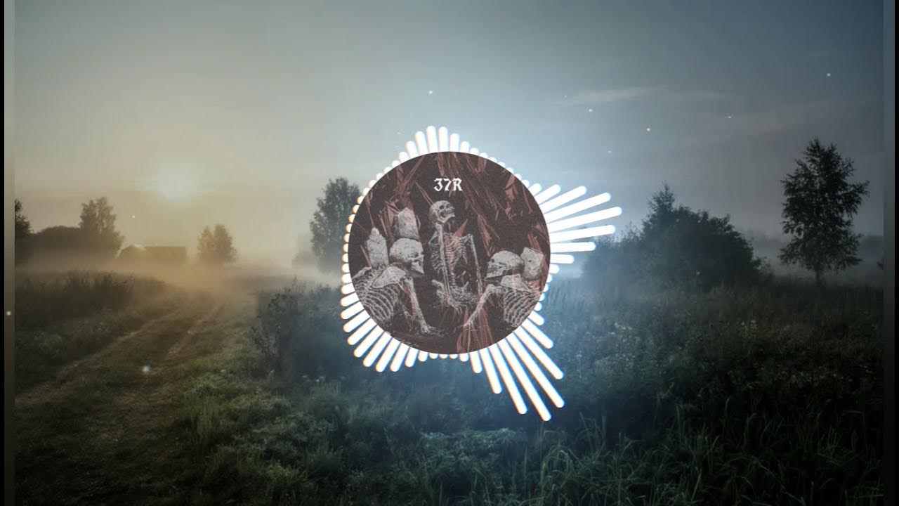 Хой сектор газа демобилизация. Виктор хой песня демобилизация. Демобилизация ремикс. Сектор газа демобилизация. Группа сектор газа демобилизация.