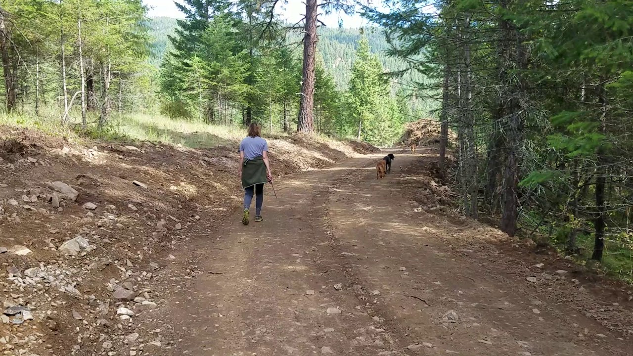 New road on Swamp Creek YouTube