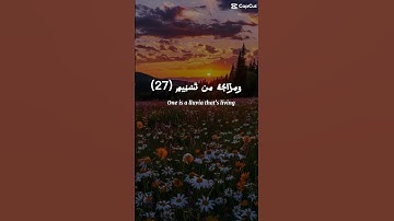 سوره المطففين-الشيخ محمد اللحيدان