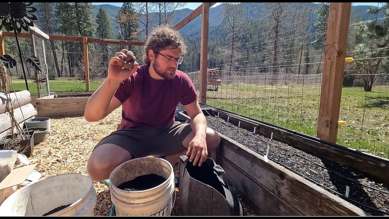 Why Were Growing Our Potatoes In Grow Bags YouTube