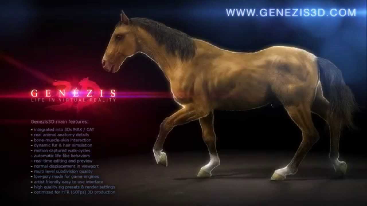 Animated CG Horse - GENEZIS 3D - YouTube