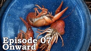 Catch and Cook Freshwater YABBIES, Prawns | The Wilderness Living Challenge 2016 S01E07 - ONWARD