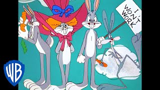 Looney Tunes | Fourth Wall Breaking Bugs | Classic Cartoon | WB Kids screenshot 3
