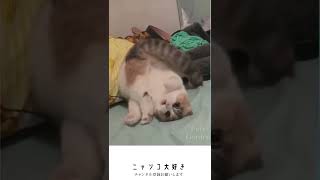 一人遊びあのし・・え？見てたの？　