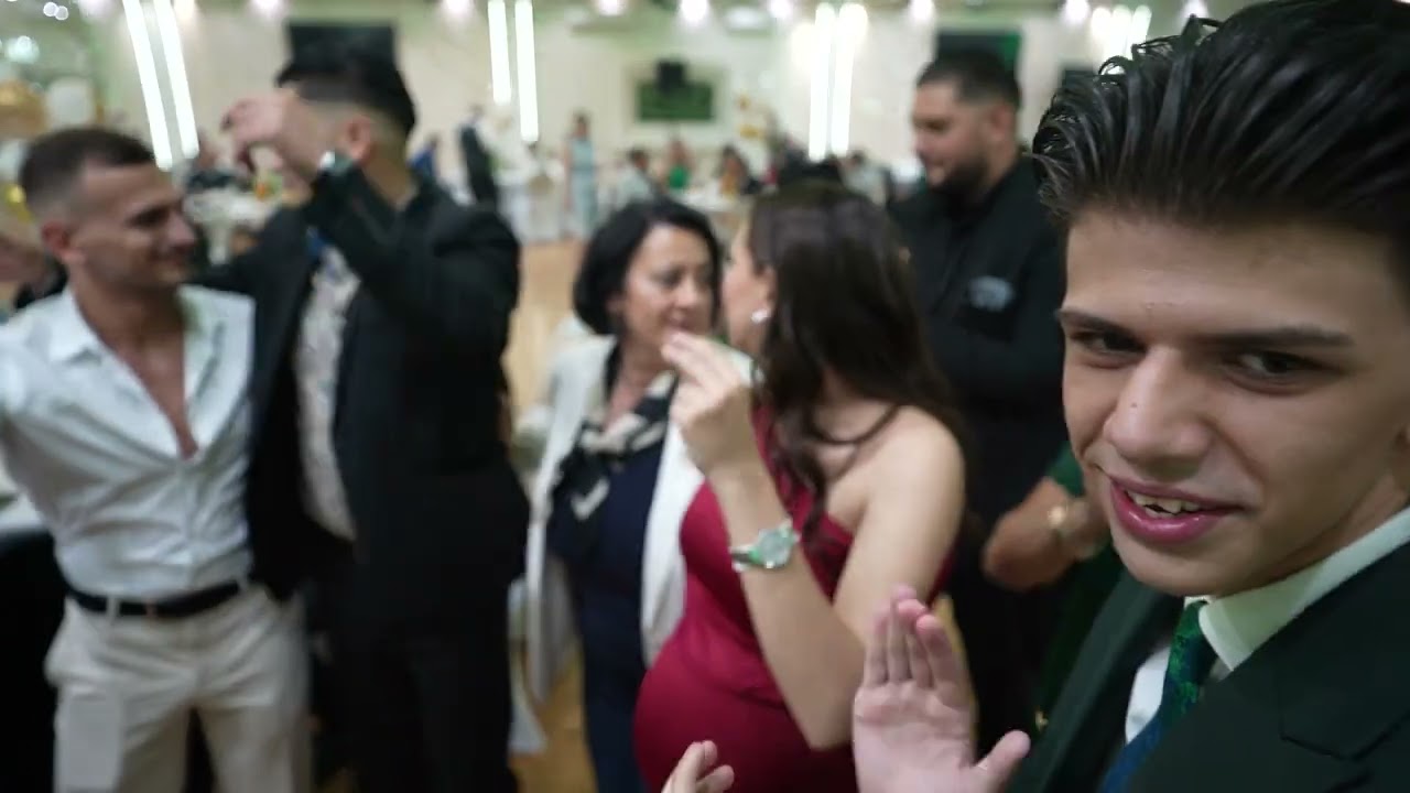 Zikicino Punoletstvo Pink Sala Wien- Vlada Sile Aca Bugar Braca Paunkovic 3. Deo