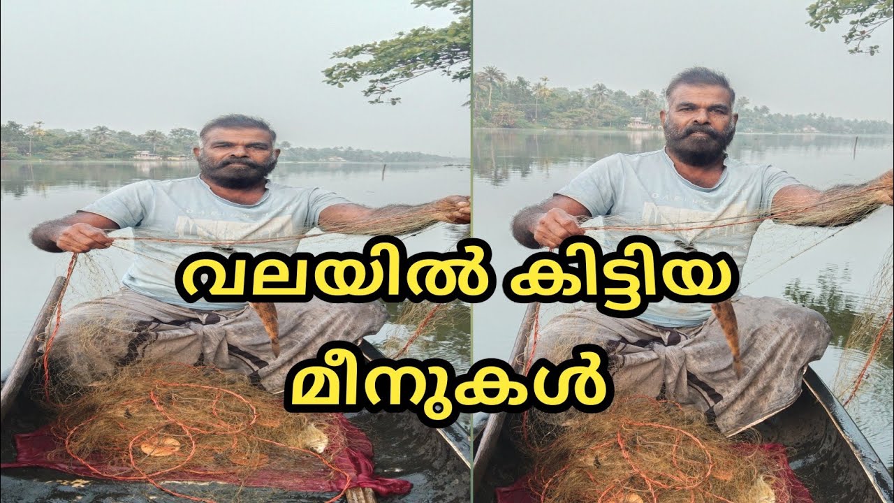വലയിൽ കിട്ടിയ മീനുകൾ...... @LD AND RD MEDIA